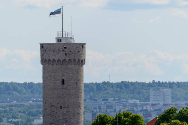 Tallinn - Suvi 2016