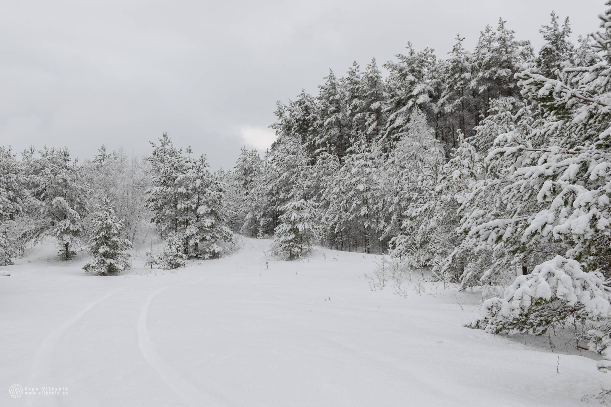 Vabariigi aastapäeva eelhommik