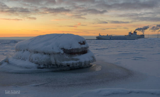 Mv Pulpca