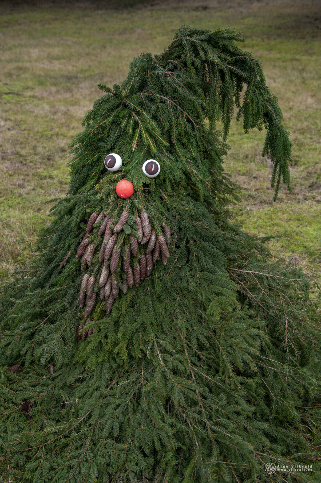 Eesti jõulurüüs 2010