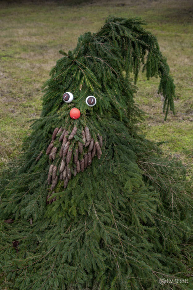 Eesti jõulurüüs 2010